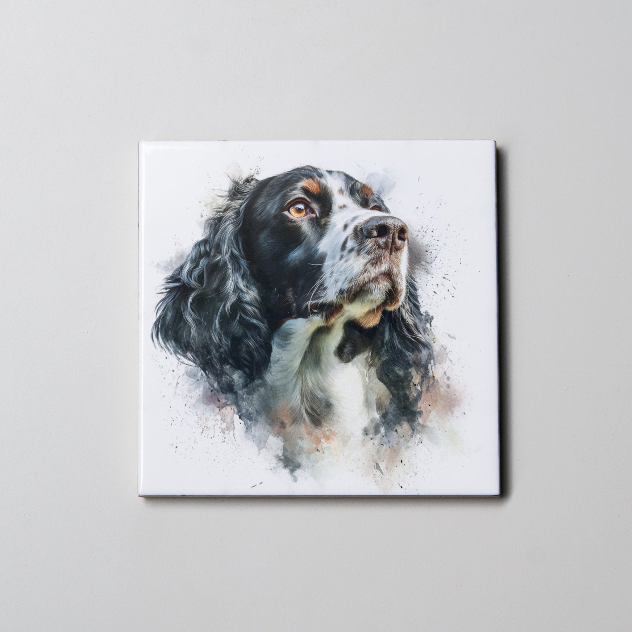 Springer Spaniel - Black - Portrait - Coaster