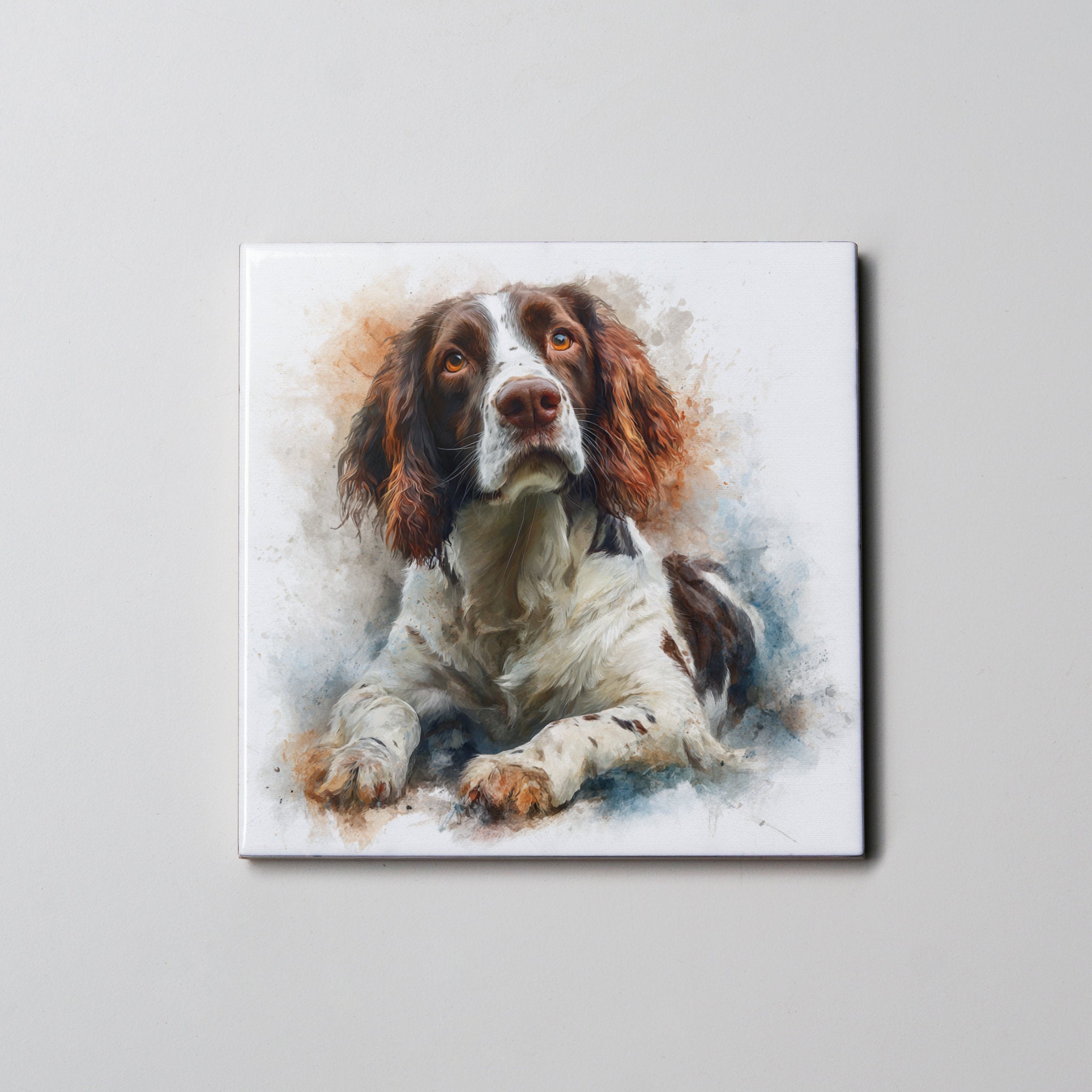 Springer Spaniel - Red - Lying - Coaster