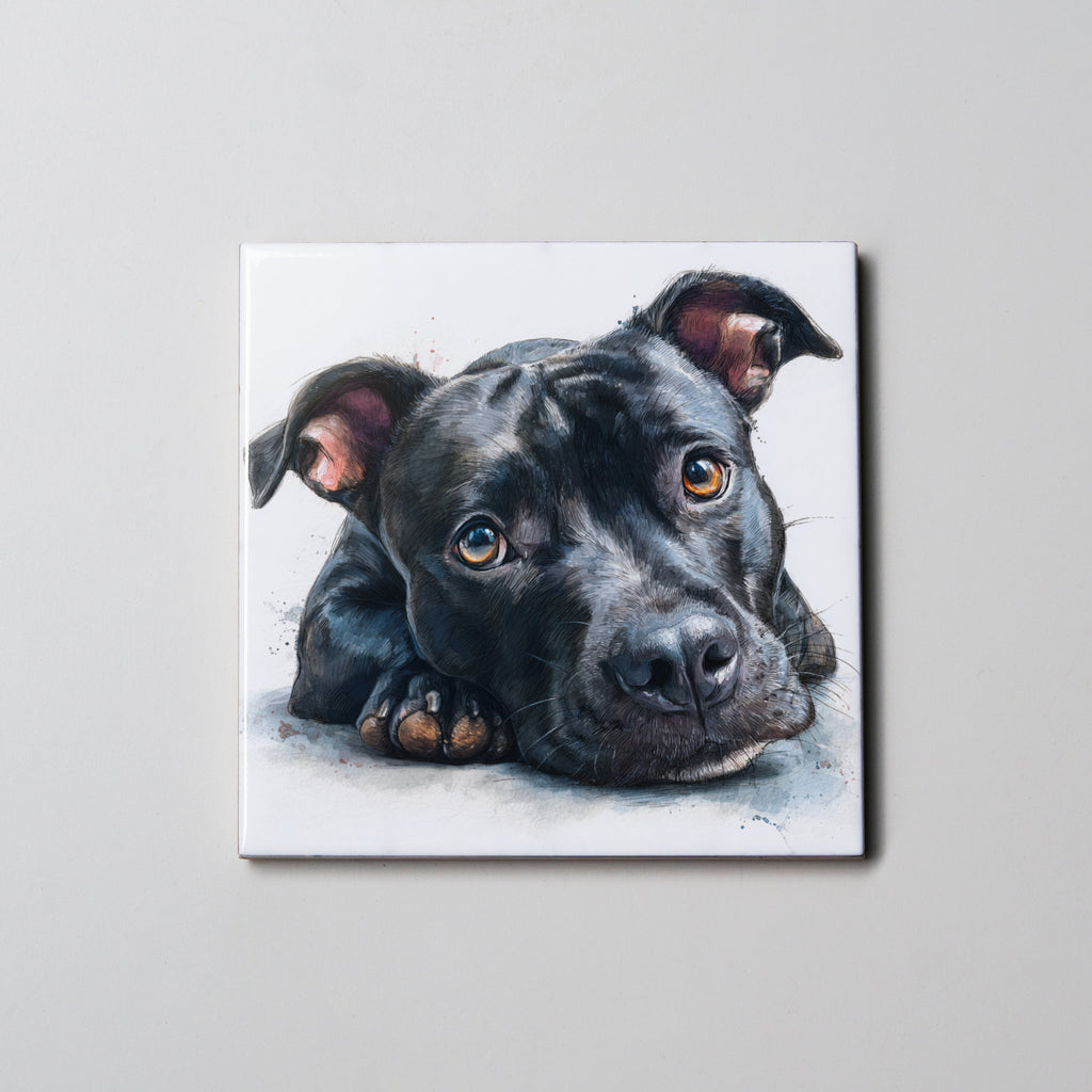 Staffordshire Bull Terrier - Black -LD close - Coaster