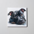Staffordshire Bull Terrier - Black -LD close - Coaster