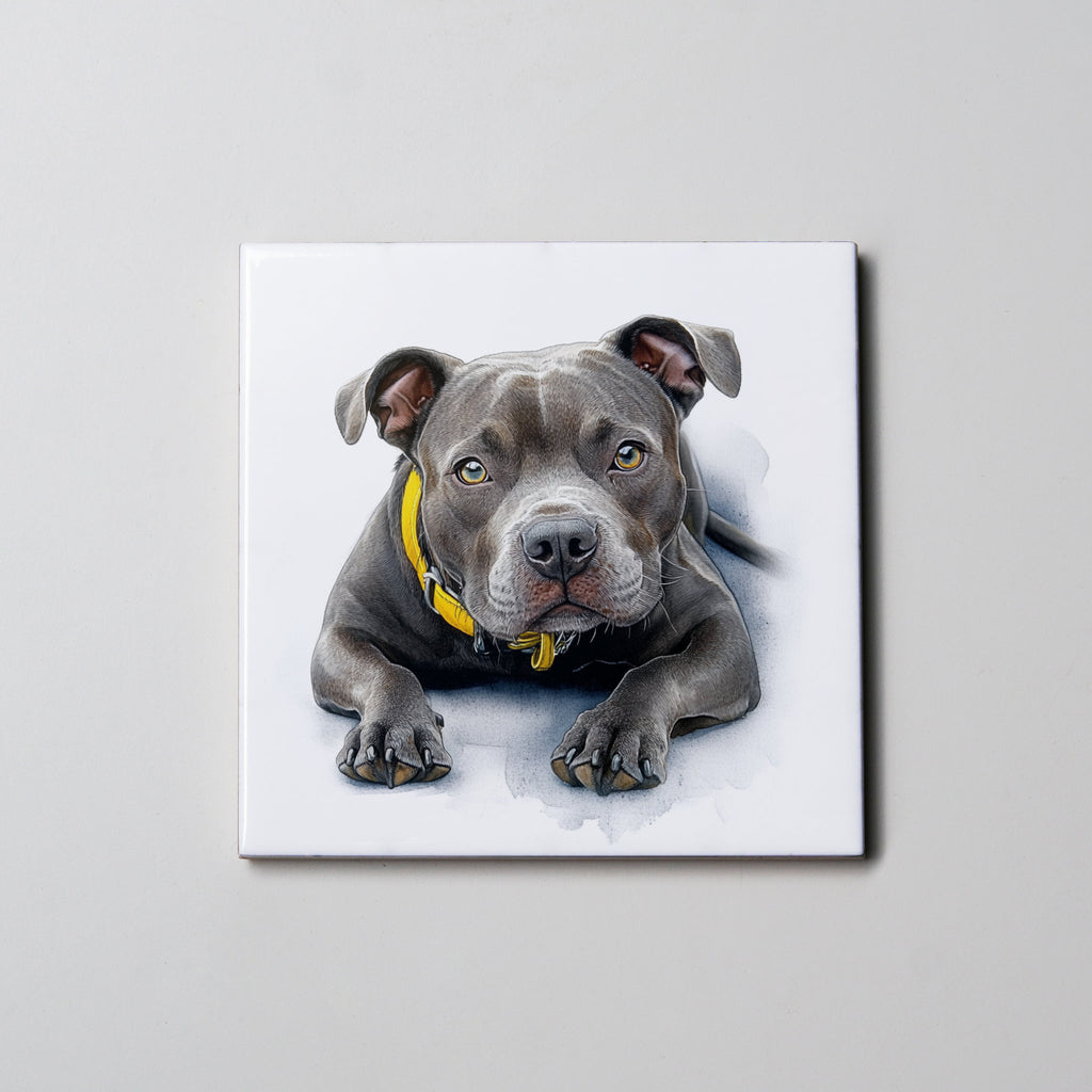 Staffordshire Bull Terrier - Grey -LD - Coaster
