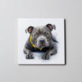 Staffordshire Bull Terrier - Grey -LD - Coaster