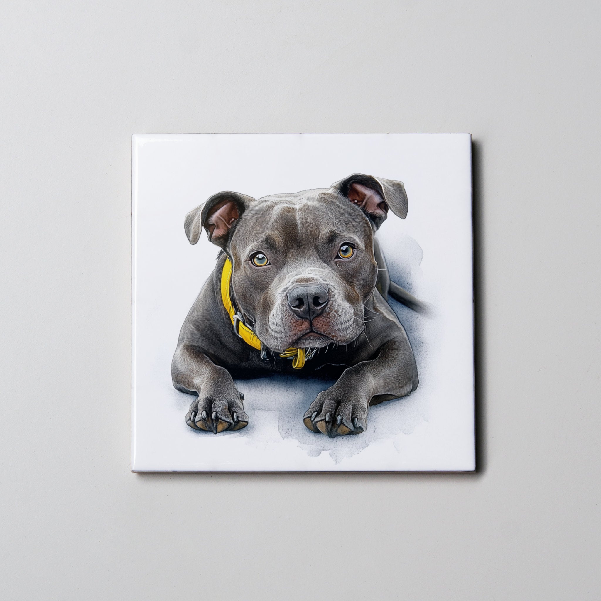 Staffordshire Bull Terrier - Grey -LD - Coaster