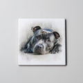 Staffordshire Bull Terrier - Grey -LD2 - Coaster