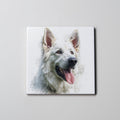 Swiss Shepherd- Coaster
