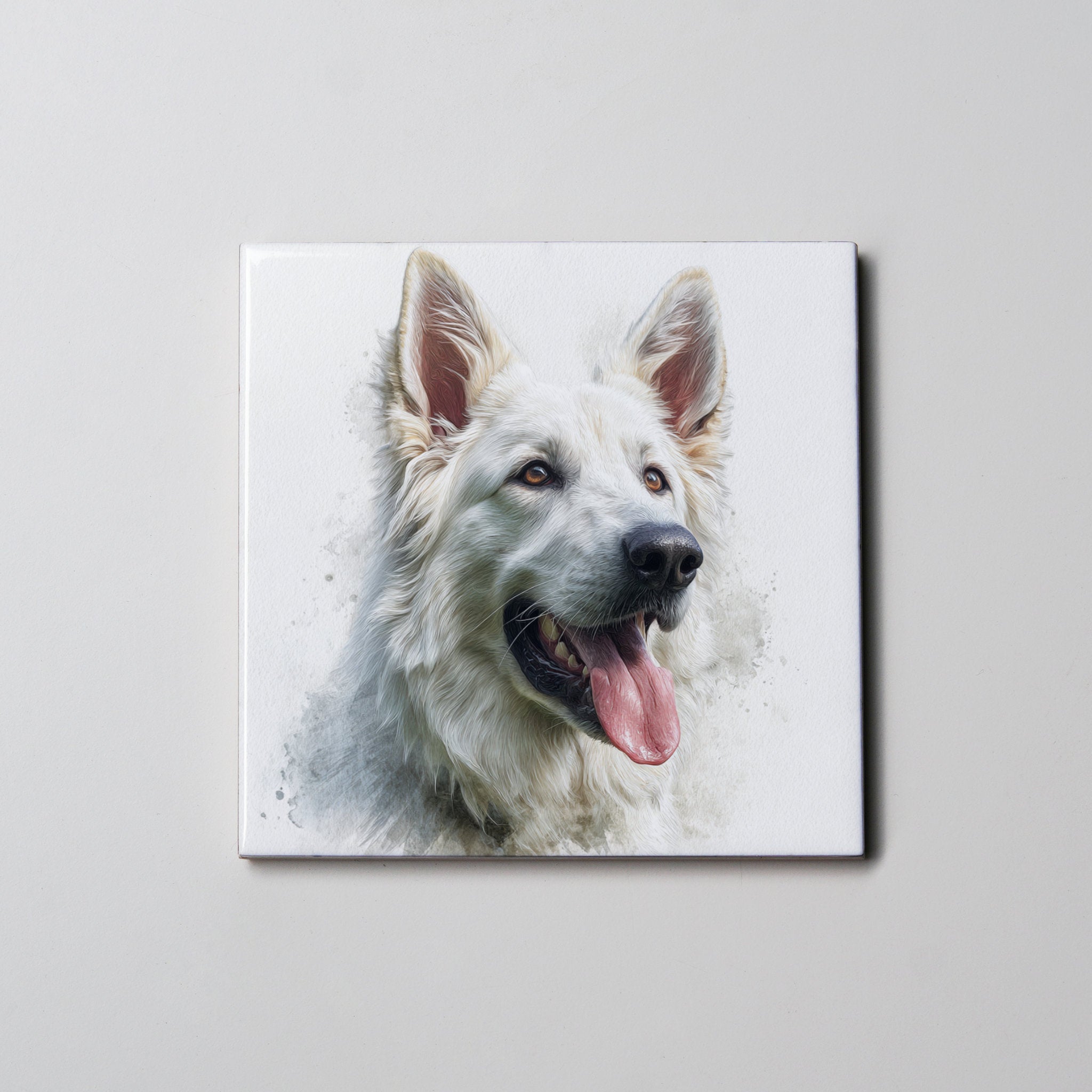 Swiss Shepherd- Coaster