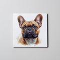Tan French Bulldog - Portrait - Coaster