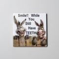 Teeth Coaster