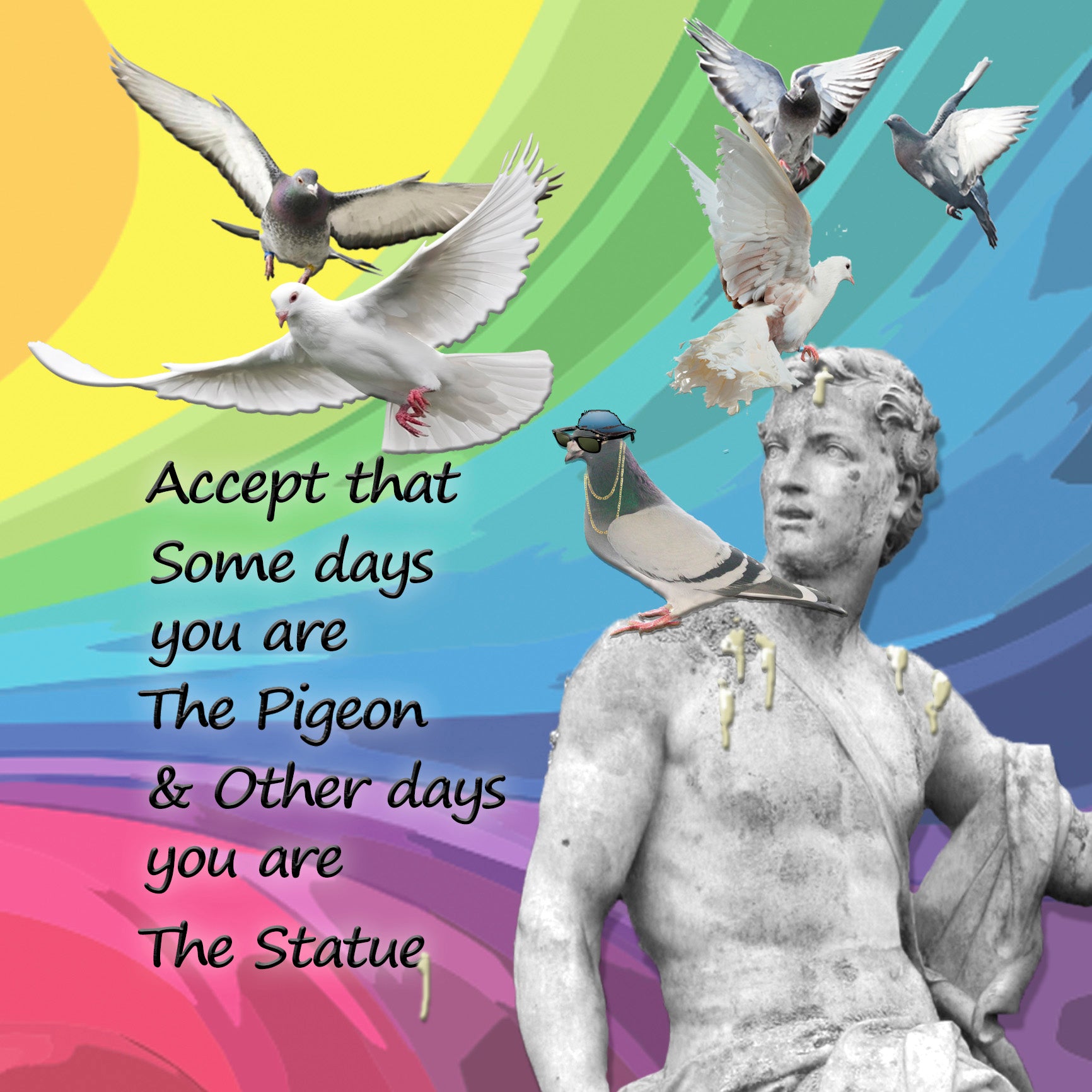 The Pigeon Coaster