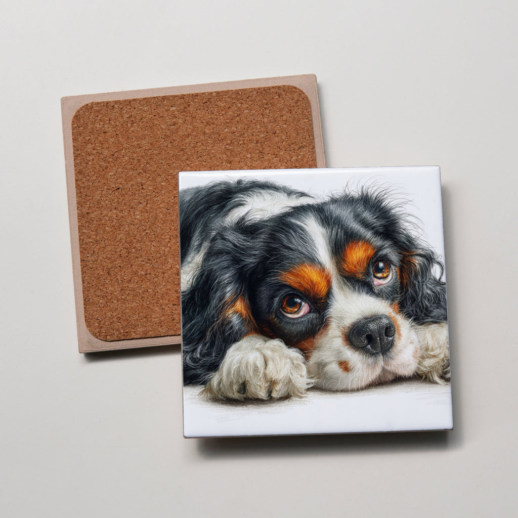 Tri-Colour Cavalier King Charles Spaniel Lying Down - Coaster