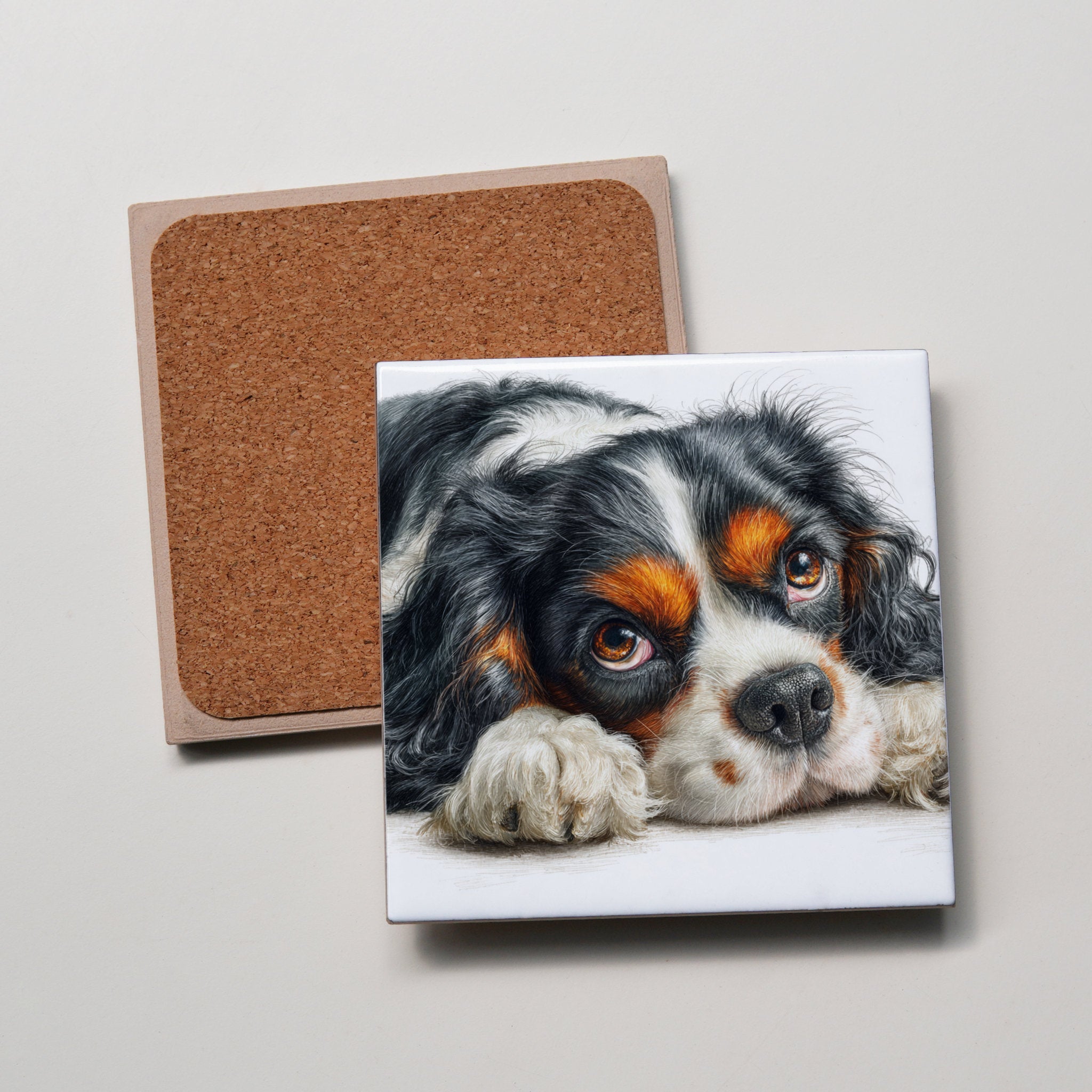 Tri-Colour Cavalier King Charles Spaniel Lying Down - Coaster