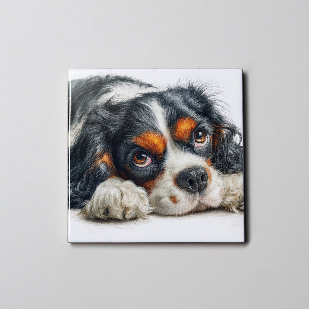 Tri-Colour Cavalier King Charles Spaniel Lying Down - Coaster