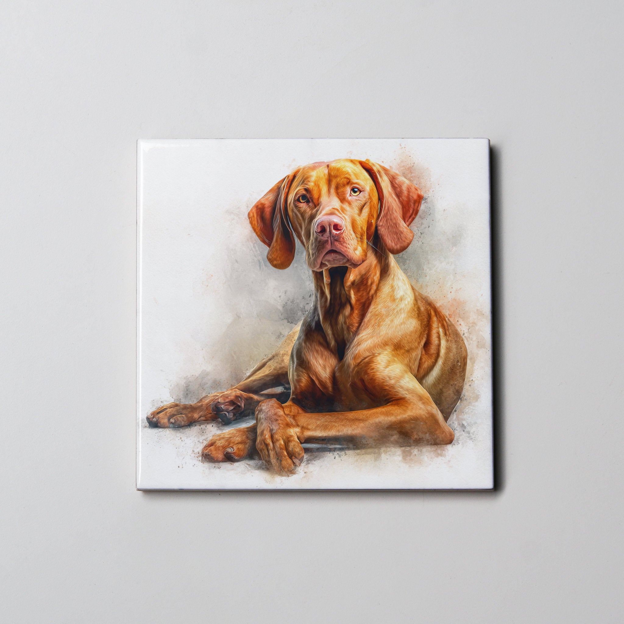 Vizsla - Lying Down - Coaster