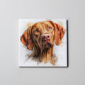 Vizsla - Portrait - Coaster