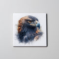 Wedge Tailed Eagle Portrait - Coaster
