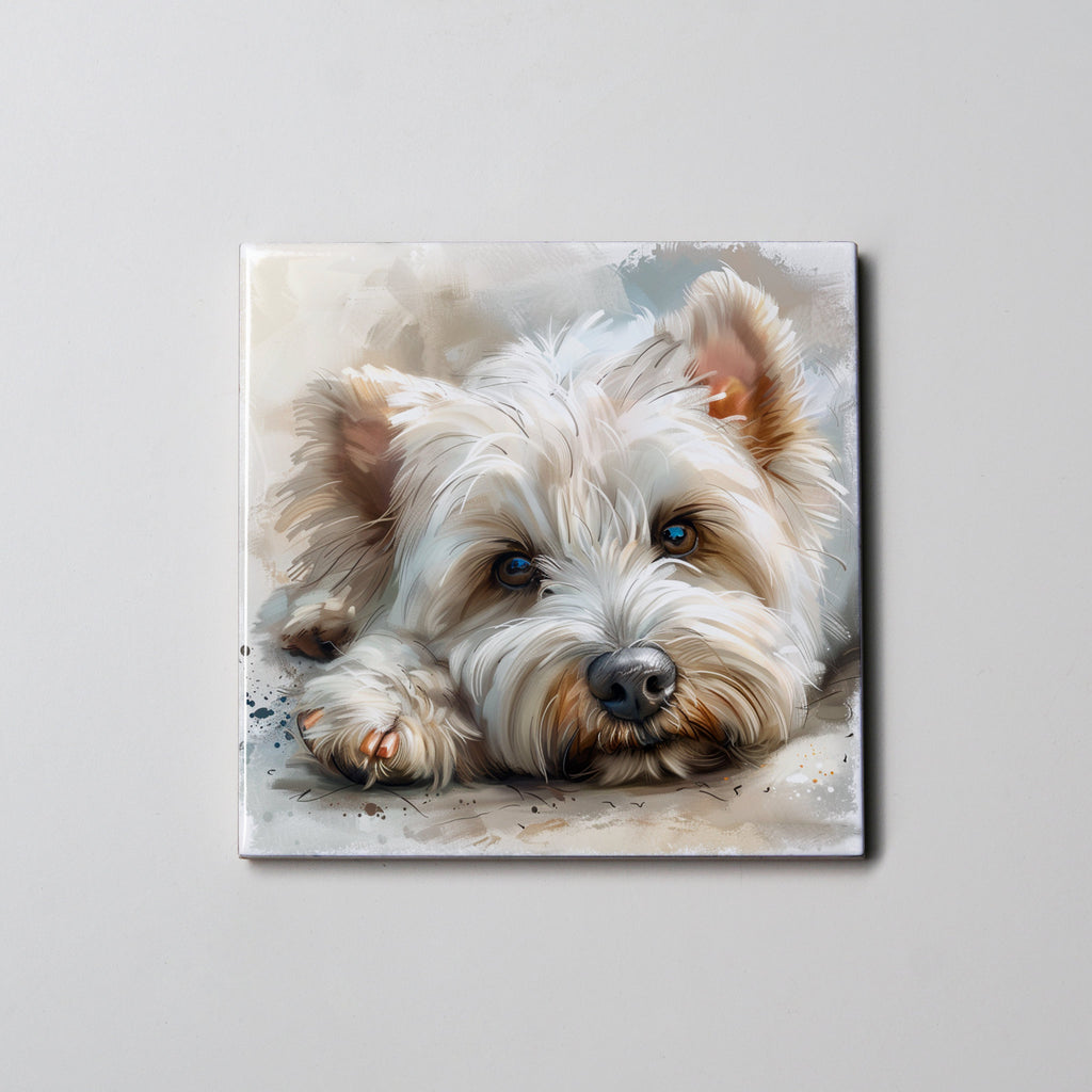 Westie - Lying - Coaster