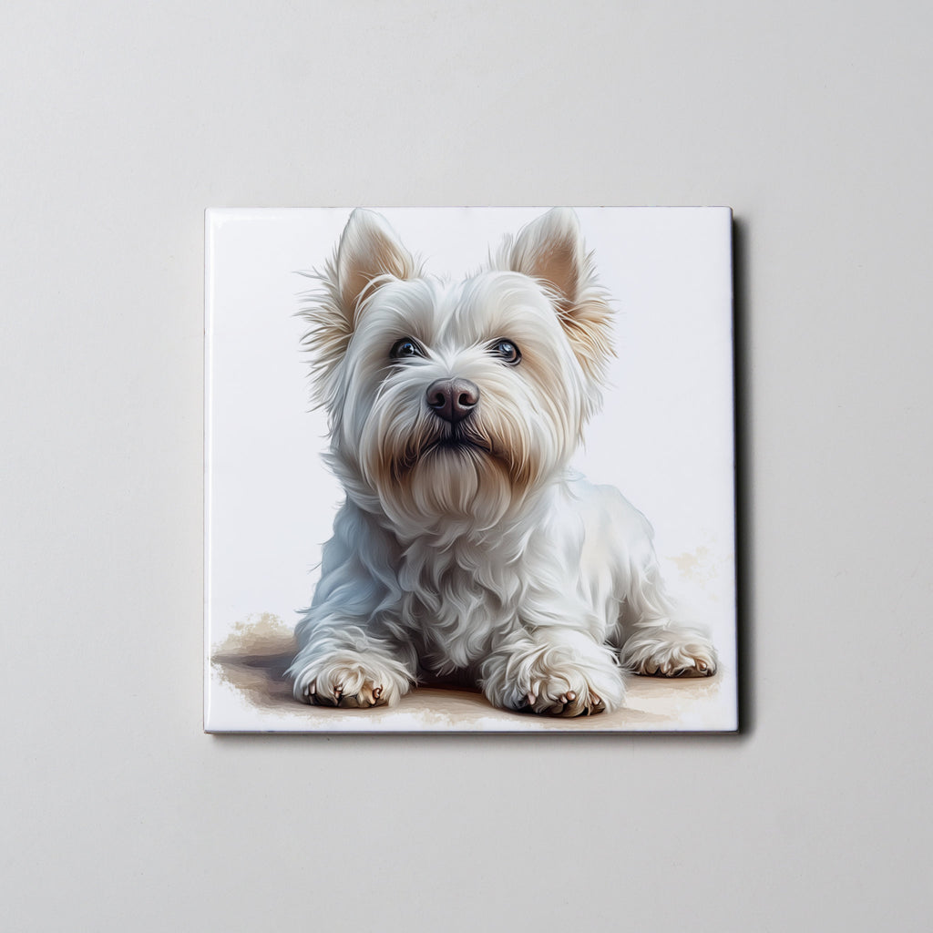 Westie - Lying - HUp - Coaster