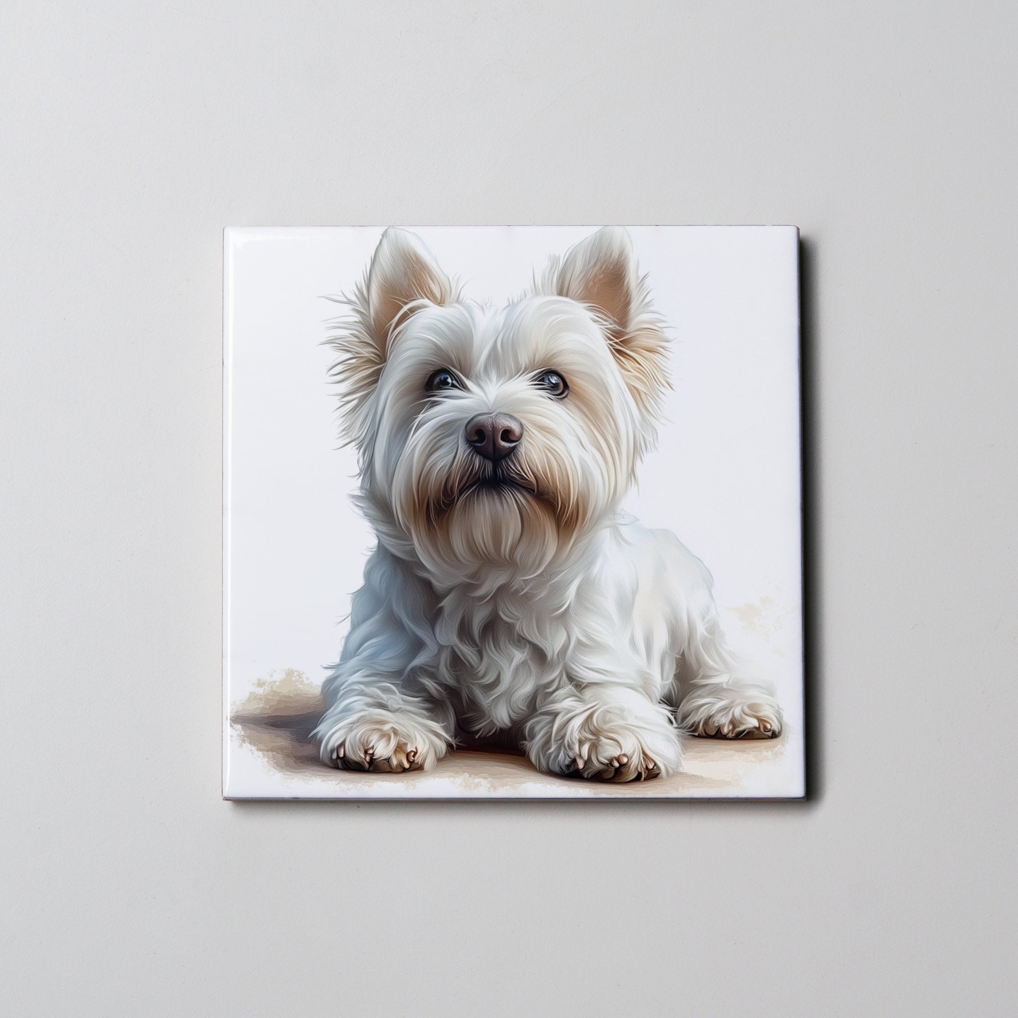 Westie - Lying - HUp - Coaster