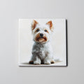 Westie - Sitting - Coaster