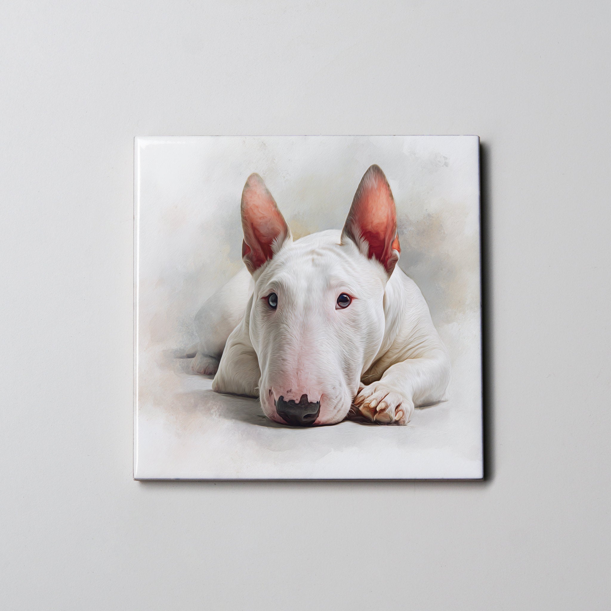 White Bull Terrier - Lying Down - Coaster