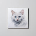White Fluffy Cat - Coaster