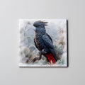 Black Cockatoo - Coaster