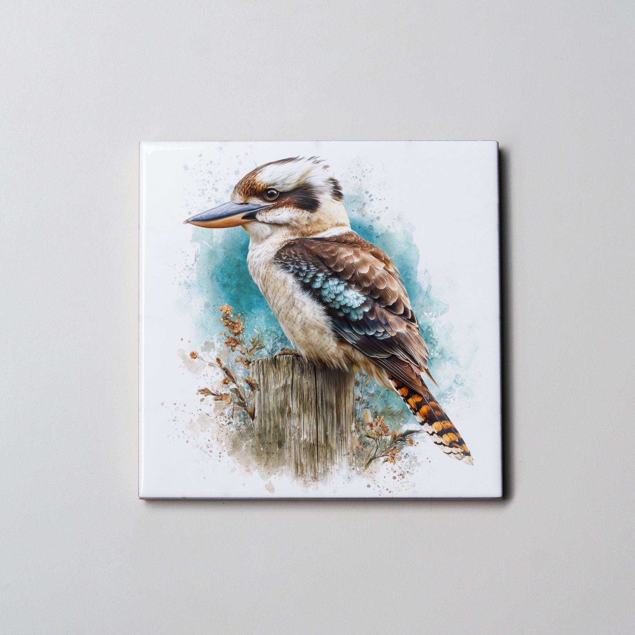 kookaburra Full Body Left - Coaster