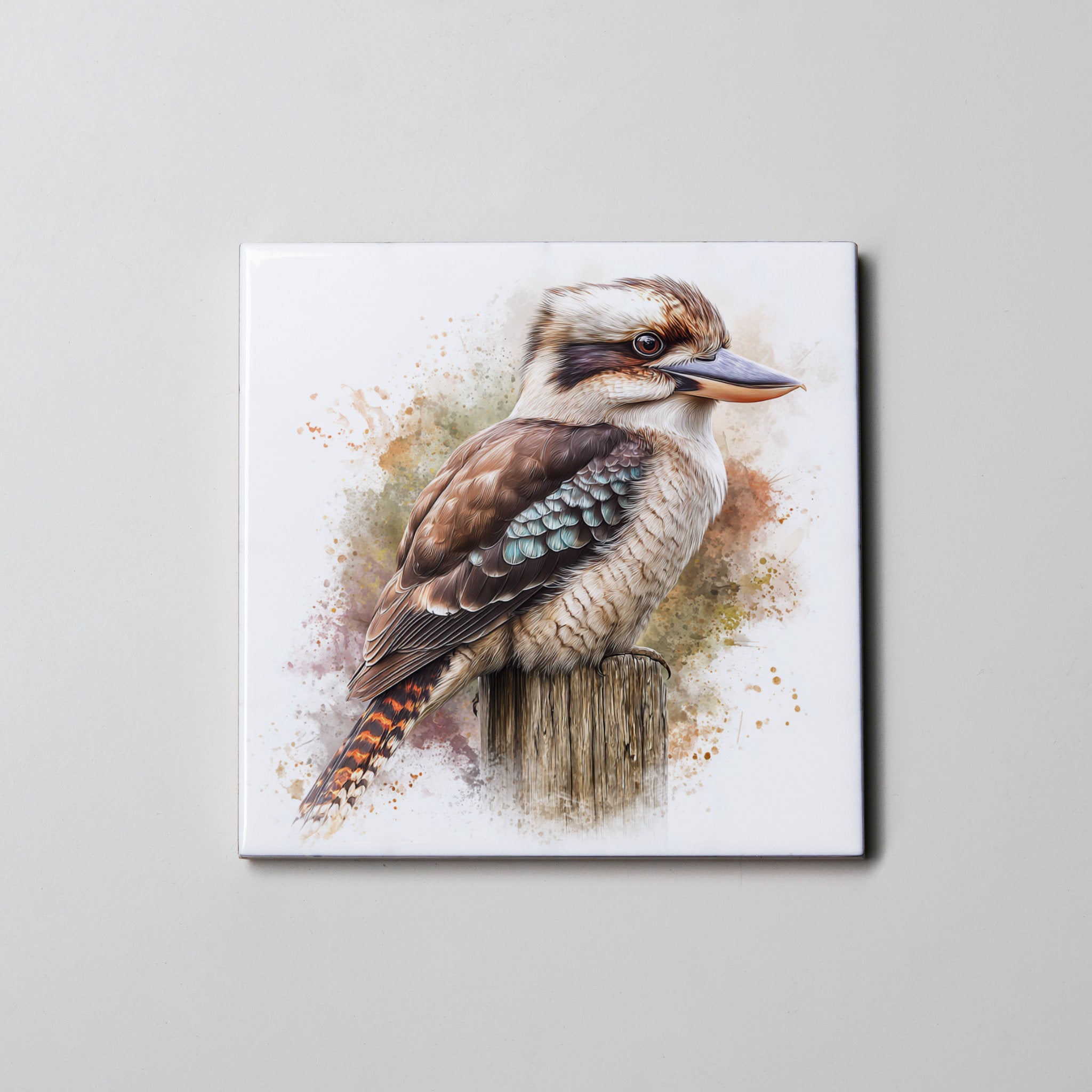 kookaburra Full Body right - Coaster