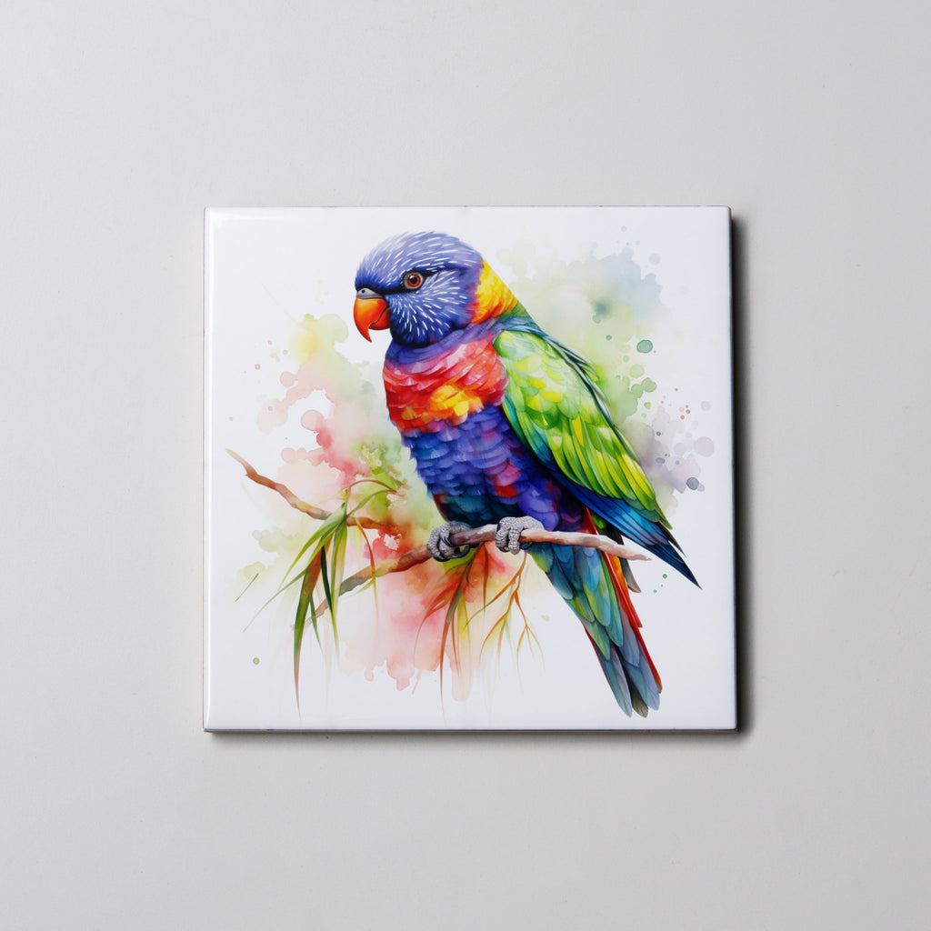 rainbow lorikeet  Left - Coaster