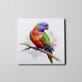 rainbow lorikeet Right - Coaster