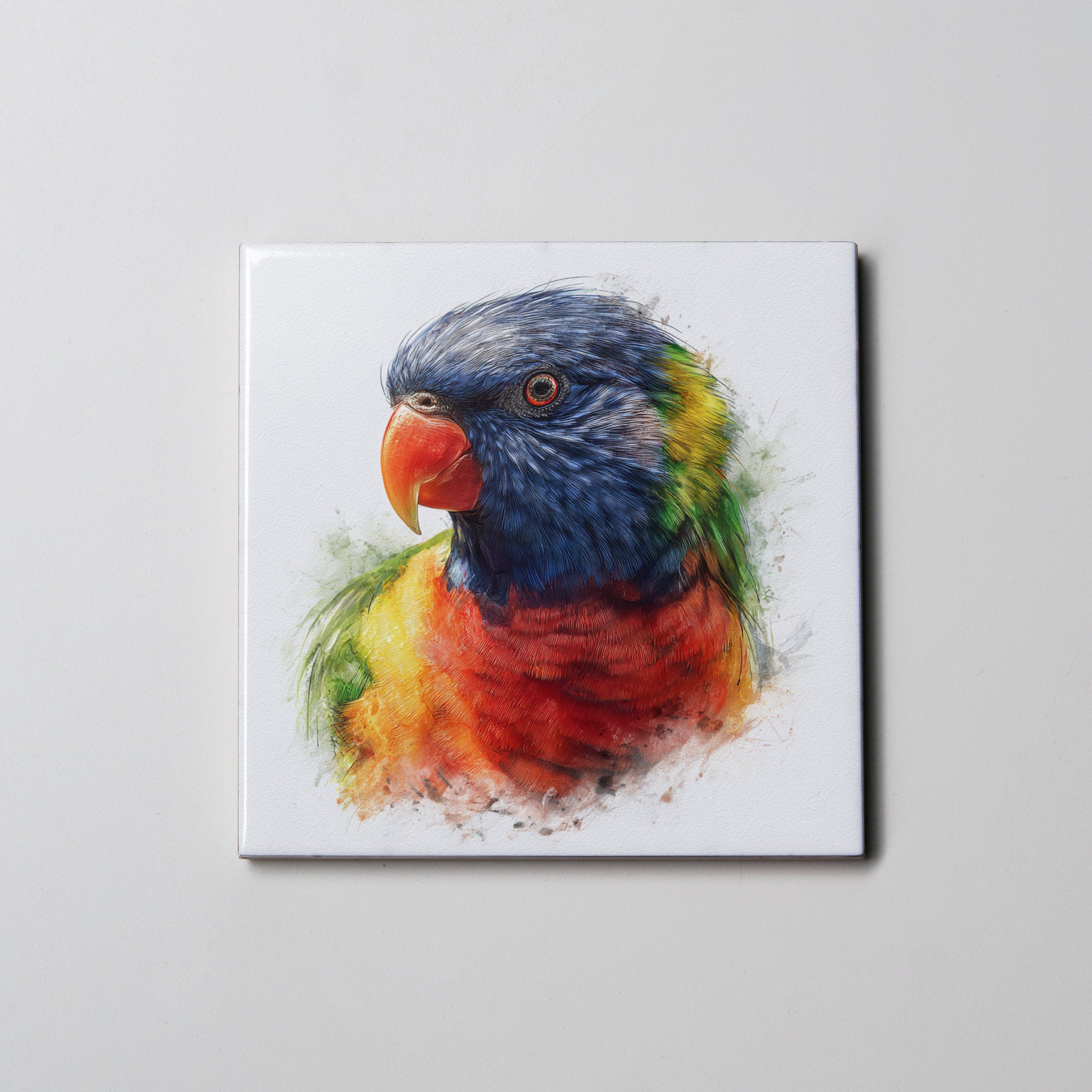 rainbow lorikeet portrait Left- Coaster