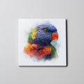 rainbow lorikeet portrait right - Coaster