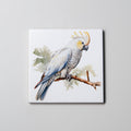 Sulphur-crested cockatoo Full Body 2 - Coaster