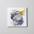 Sulphur-crested cockatoo Portrait - Coaster